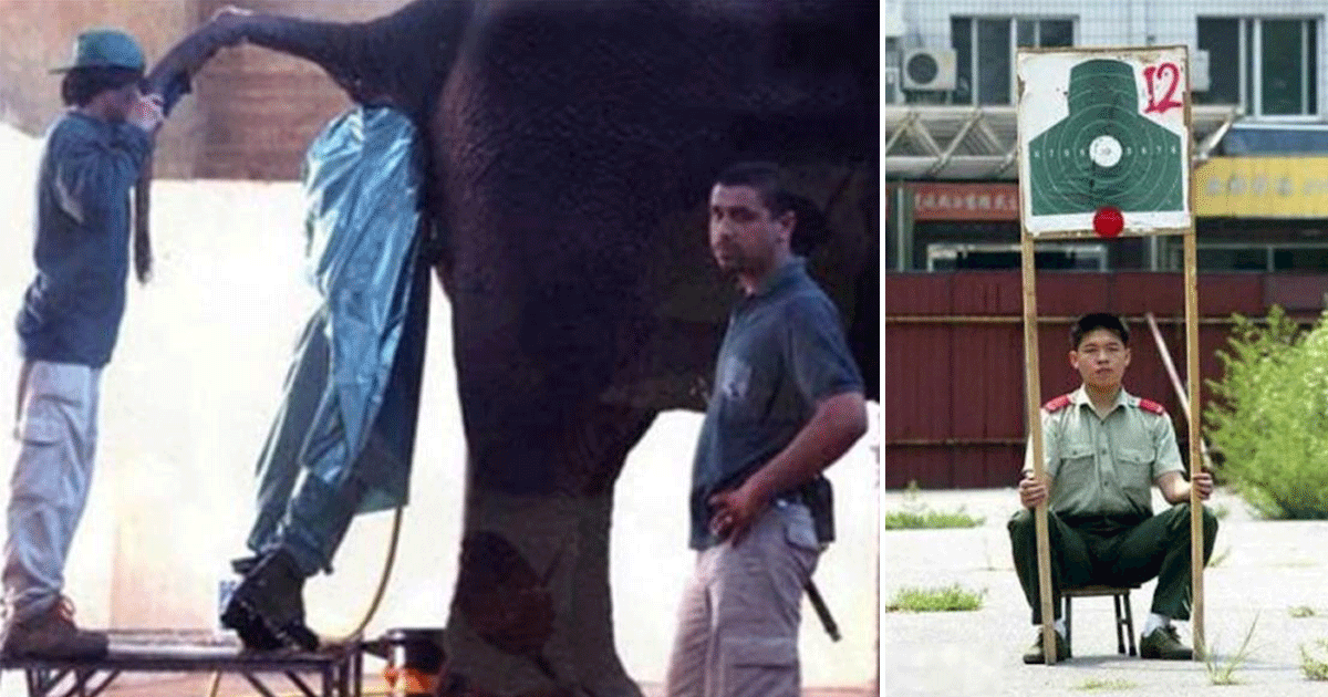 Шампунь лошадиная сила прикол. Самые худшие профессии. Думаешь у тебя плохая работа. Как называется плохая работа. Плохая работа картинки.