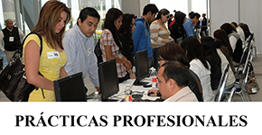 Empleo sin experiencia