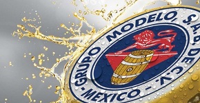 Trabajar en Grupo Modelo