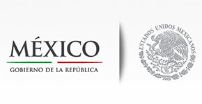 sector público
