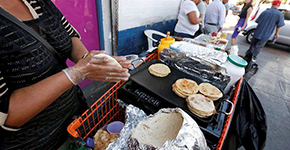 Guadalupe - Reyes