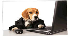Las mascotas pueden hacerte tener ingresos extras