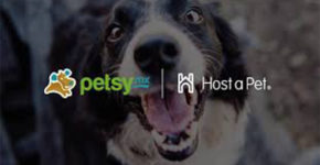 Host a pet