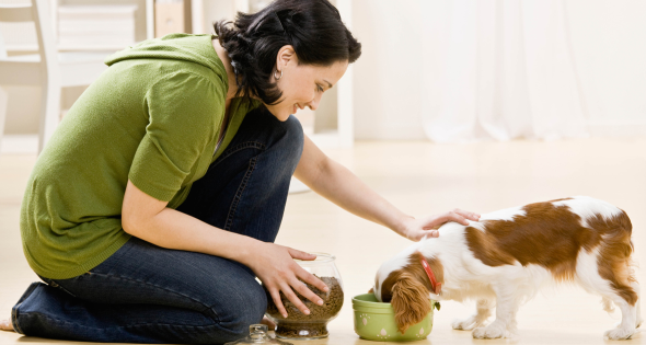 Pet Nanny