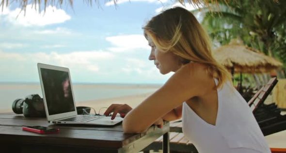Freelance