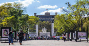 El bosque de Chapultepec