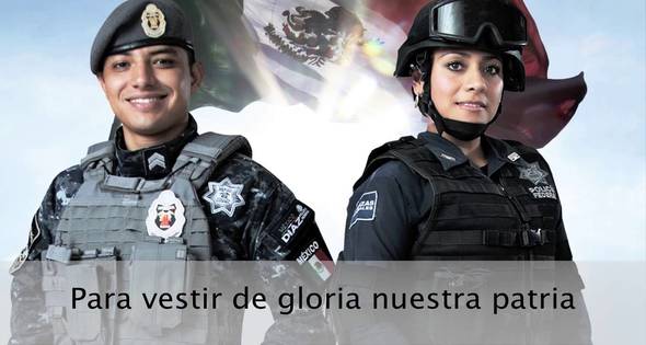 Elementos Federales